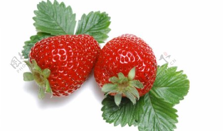 新鲜草莓图图片