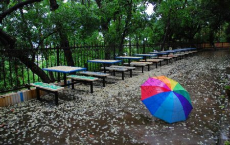 雨伞图片