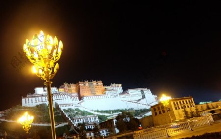 布达拉宫夜景图片