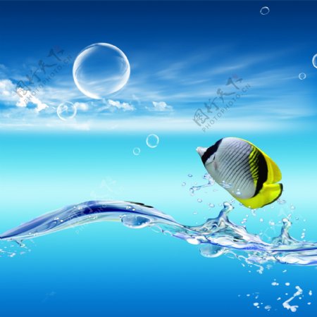 海鱼泡泡图片
