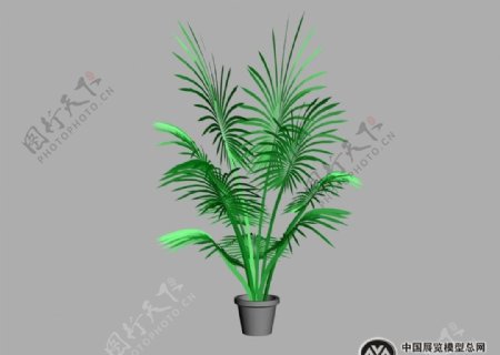 3D植物图片