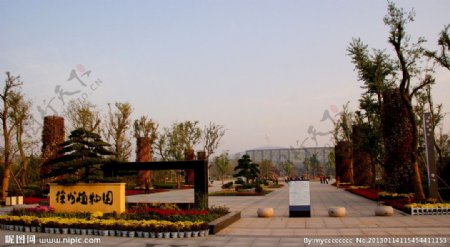徐州植物园图片