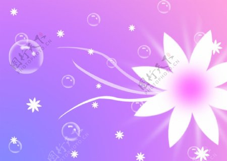 粉色花纹泡泡背景图片