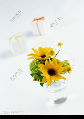 鲜花与礼盒图片