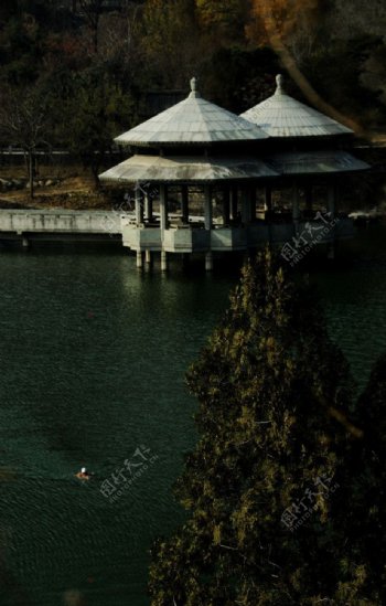 湖中双亭图片
