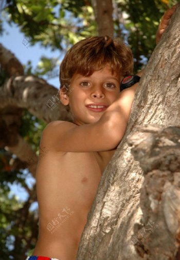爬到树上的男孩图片