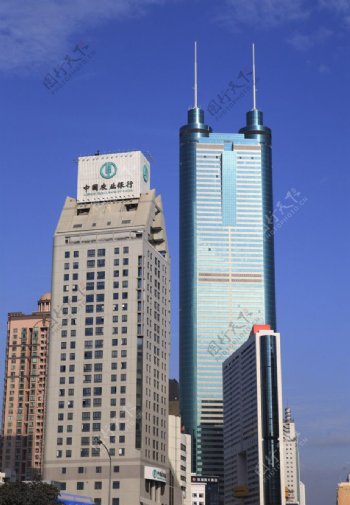深圳地王大厦图片