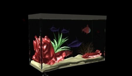 3D模型鱼缸图片