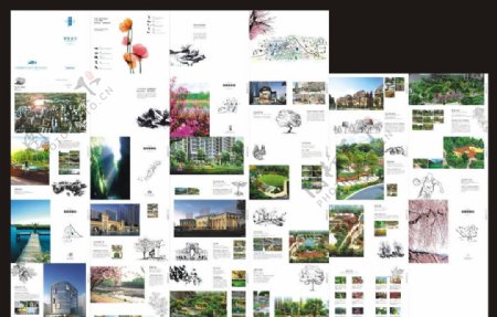 房地产景观画册图片