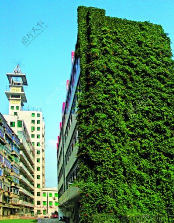 绿色建筑图片