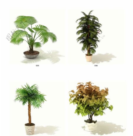 三维植物模型素材2缺少外部文件图片