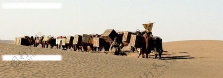 沙漠骆驼队图片