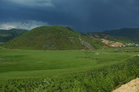 迪庆香格里拉纳帕海草原图片