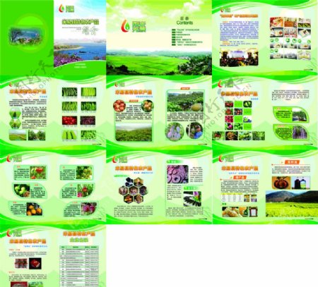 米易农产品画册图片
