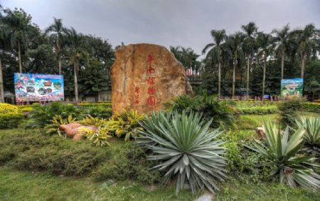 华南植物园图片