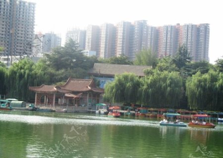 荆河公园景观图片