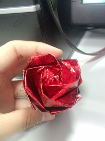 DIY折纸玫瑰花川崎玫瑰图片