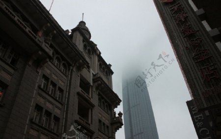 浓雾中的建筑图片