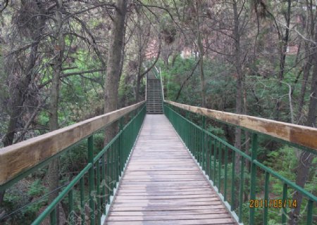 蜿蜒山林的桥梁图片