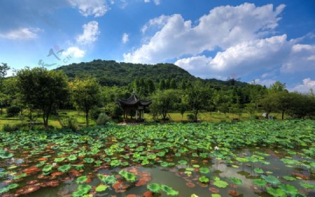 萧山湘湖图片