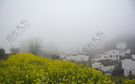江南三月烟雨图片