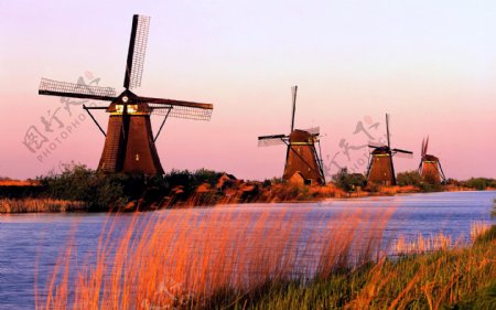 荷兰迷幻风车图片