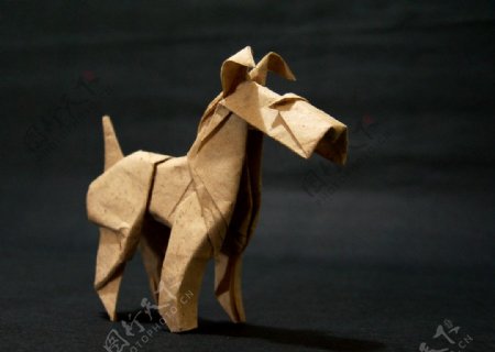 折纸小狗图片
