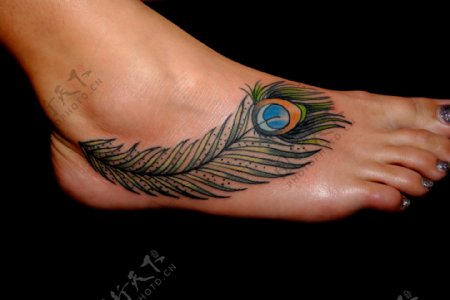 美女美脚的孔雀羽毛纹身图片