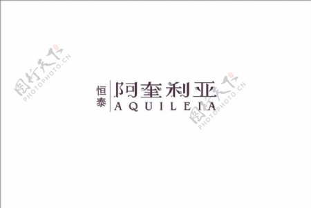 阿奎利亚字体设计图片