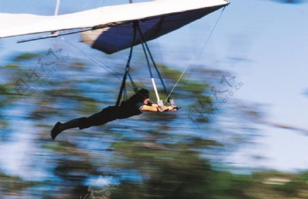 塔西玛尼亚上空滑行精彩瞬间图片