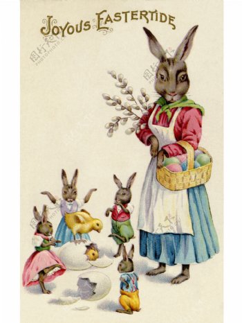 水彩画兔子家族图片