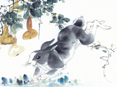 黑白十二生肖国画手绘兔图片