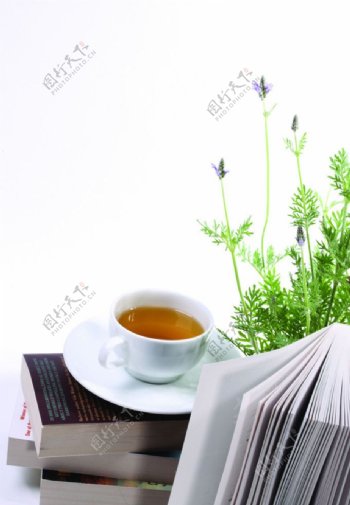 植物书茶图片