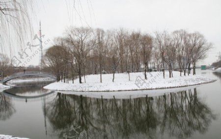 黄河公园图片