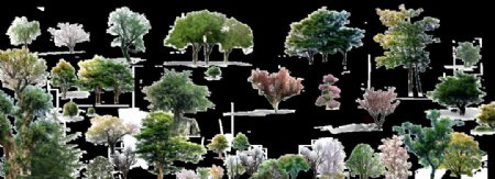 PSD分层素材树木图片