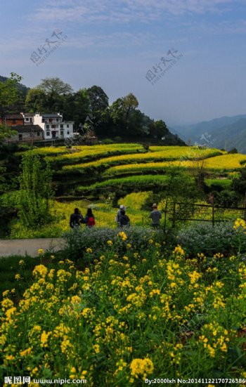 婺源查平坦村图片