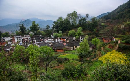 婺源查平坦村图片