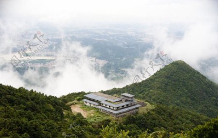 雾起梧桐山图片