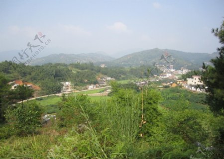 乡村景色图片