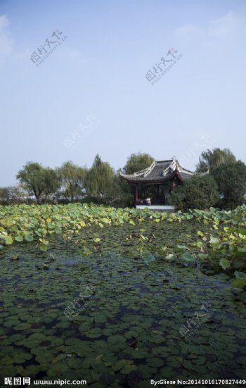 长广溪湿地公园图片