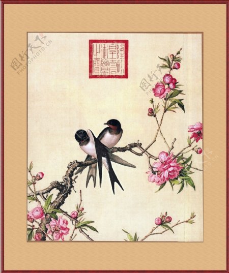 燕子花卉图片