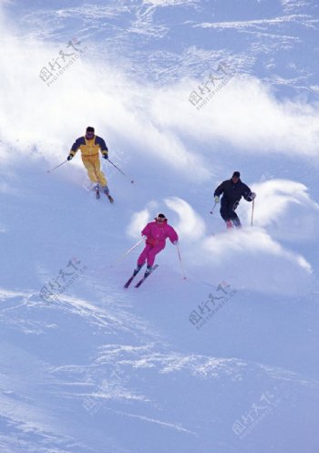 滑雪图片