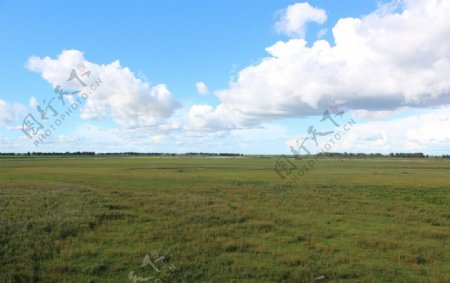 草原湿地图片