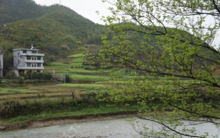 三清山途经风景图片