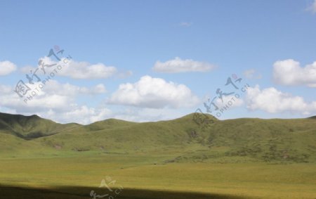 诺尔盖大草原图片