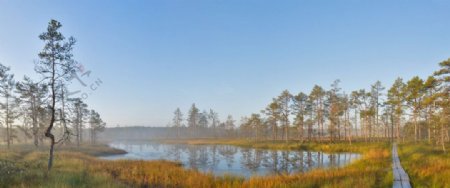 爱沙尼亚拉赫马国家公园维鲁沼泽图片