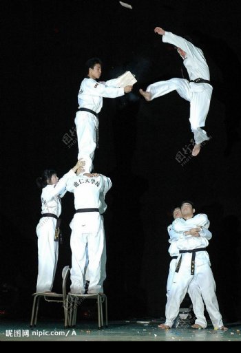 韩国跆拳道图片