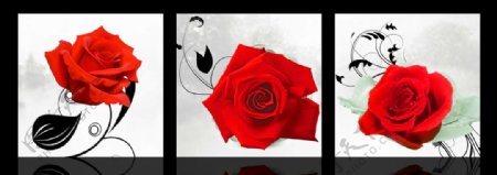 红玫瑰无框画图片