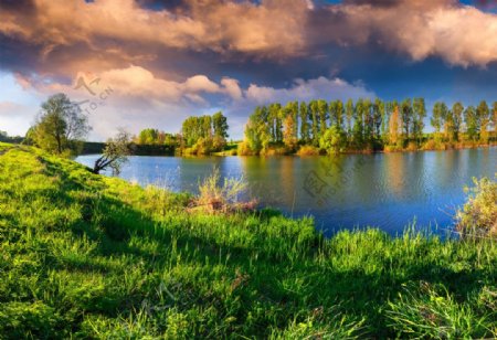 湖泊自然花草风景风光图片