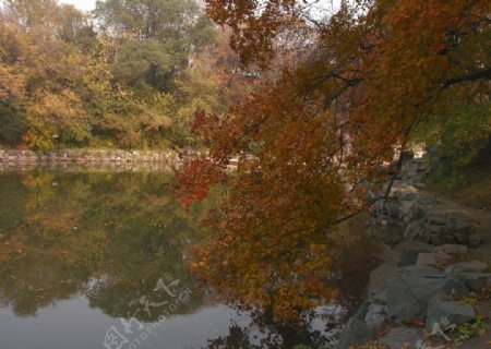 颐和园秋色图片
